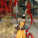 Illustration for article titled Bethesda's Newest Game Is Like Team Fortress Without Guns